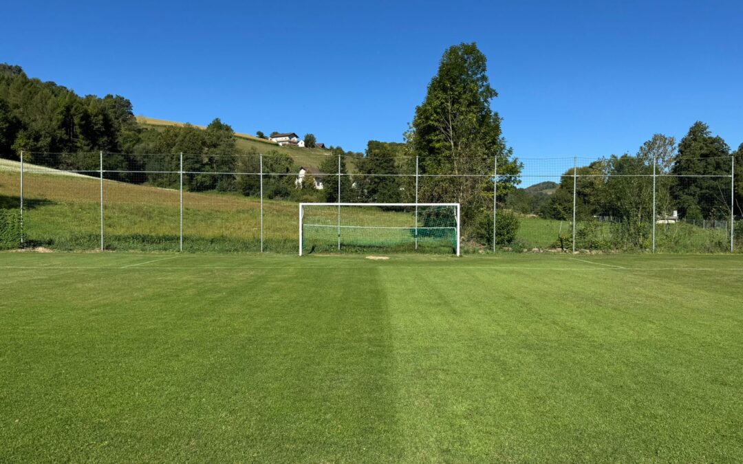 Sanierungsarbeiten am Trainingsplatz erfolgreich abgeschlossen ⚽💙🤍