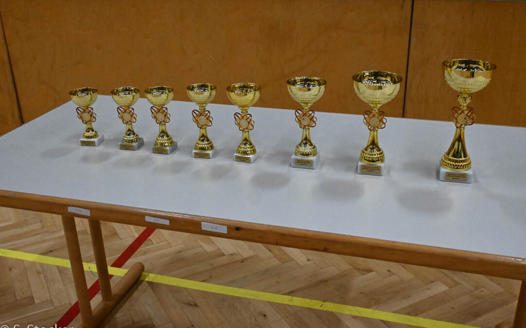 ⚽ Rückblick: Erfolgreiches Manfred Stocker Gedenkturnier 2025